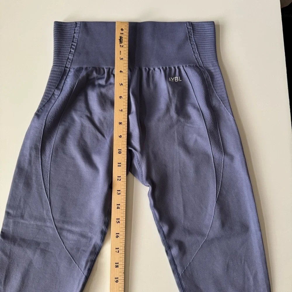 AYBL Balance V3 Seamless Leggings Mauve Women’s size large